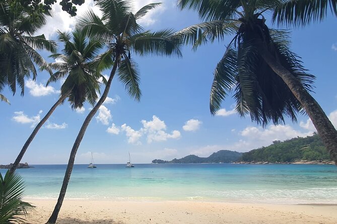 5 Hour Private Customize Tour of Mahe, Seychelles - Anse Royale: finish with an hour by the sea