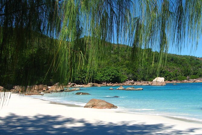 Beaches, swimming & snorkeling | Mahe, Seychelles | Private Tour - Anse Takamaka adds solitude and giant turtles