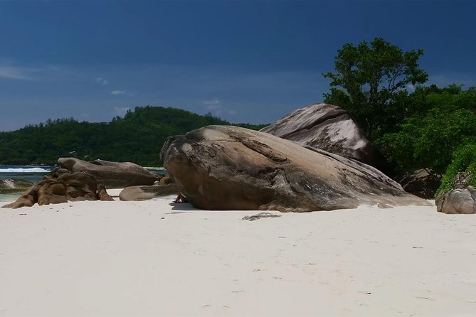 Beautiful island tour 5-6 hours | Mahé, Seychelles | Private Tour - Le Jardin du Roi: spices, plants, and an optional lunch
