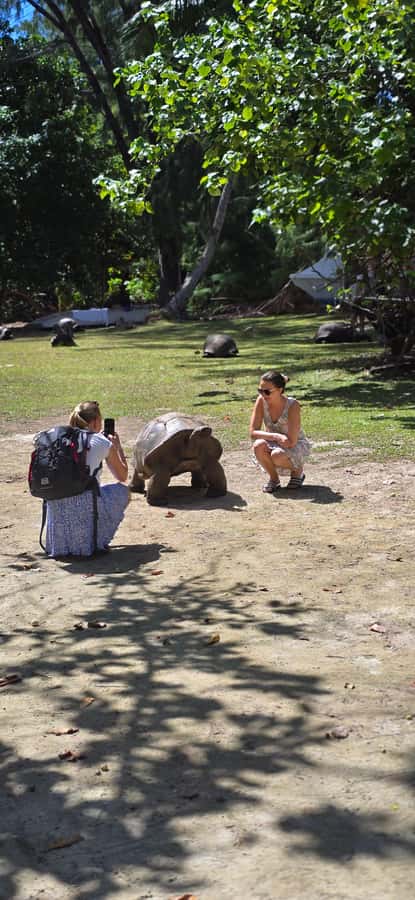 Cousin Curieuse and St Pierre & BBQ Lunch - Starting from Praslin at 9:15 AM