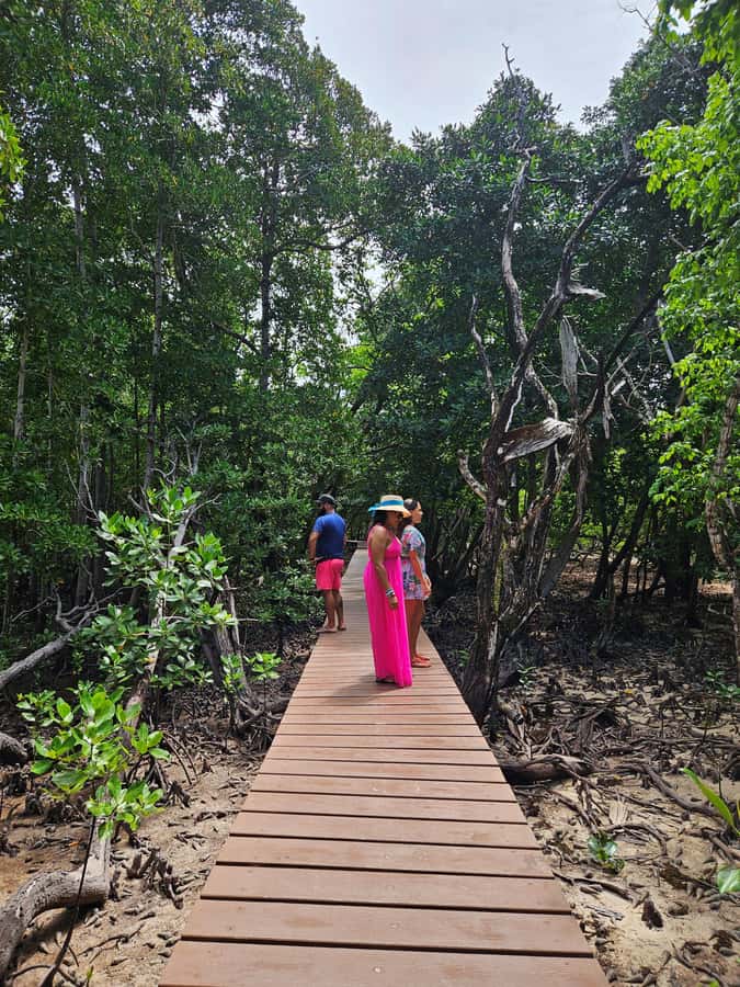 "Curieuse and St-Pierre Island Adventure: with Creole, BBQ - Quick reasons to choose this Praslin boat trip