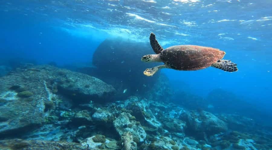 "Curieuse and St-Pierre Island Adventure: with Creole, BBQ - Snorkeling at St. Pierre, with a sensible weather backup
