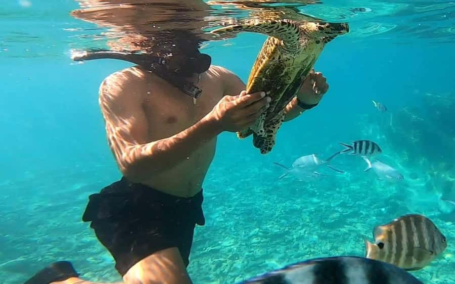 "Curieuse and St-Pierre Island Adventure: with Creole, BBQ - A full day that is easy to organize from Praslin