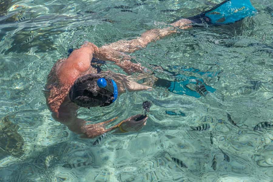 Curieuse and St Pierre Snorkeling Half-Day Trip No BBQ Lunch - Key points to know before you book