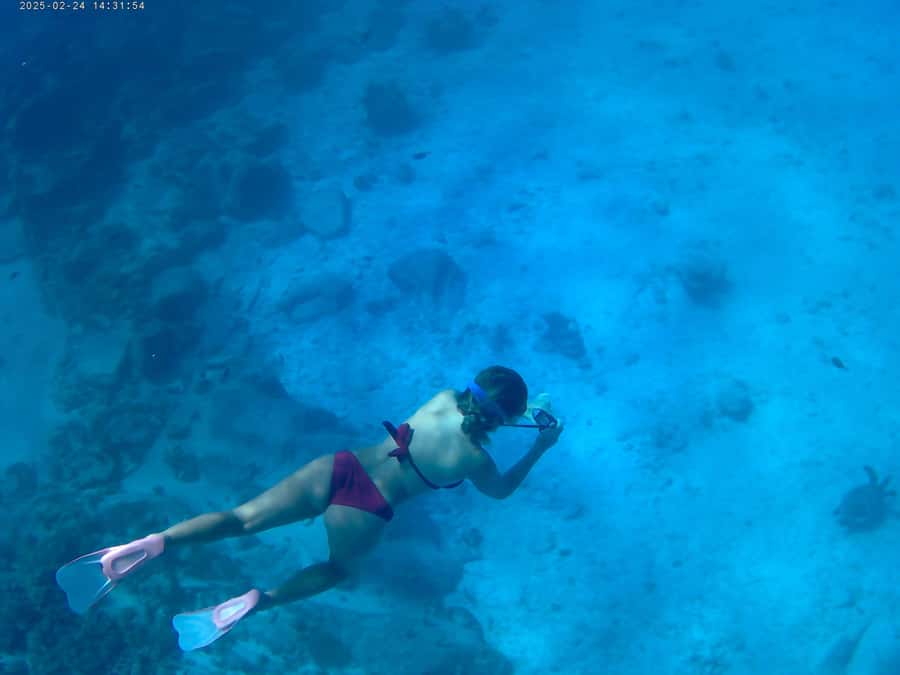 Curieuse and St Pierre Snorkeling Half-Day Trip No BBQ Lunch - Anse José, the quiet beach stop