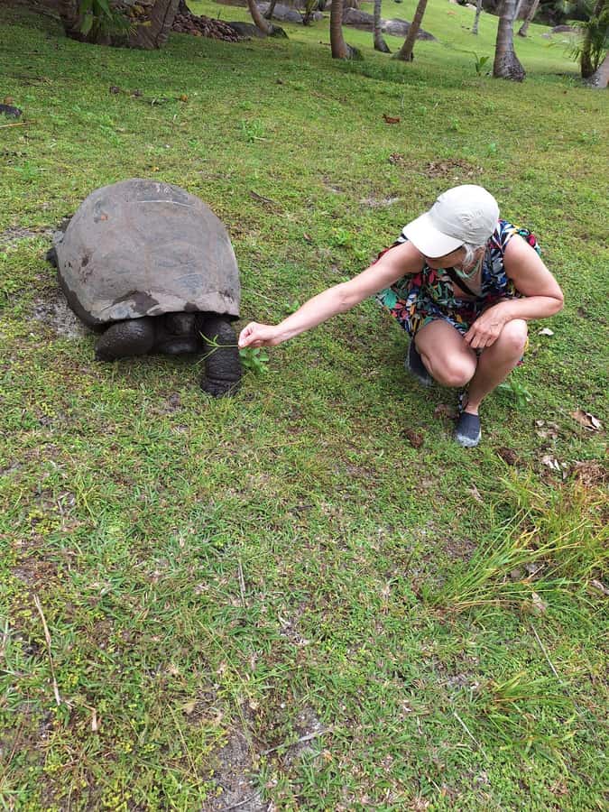 Curieuse and St Pierre Snorkeling Half-Day Trip No BBQ Lunch - Who will enjoy this trip most
