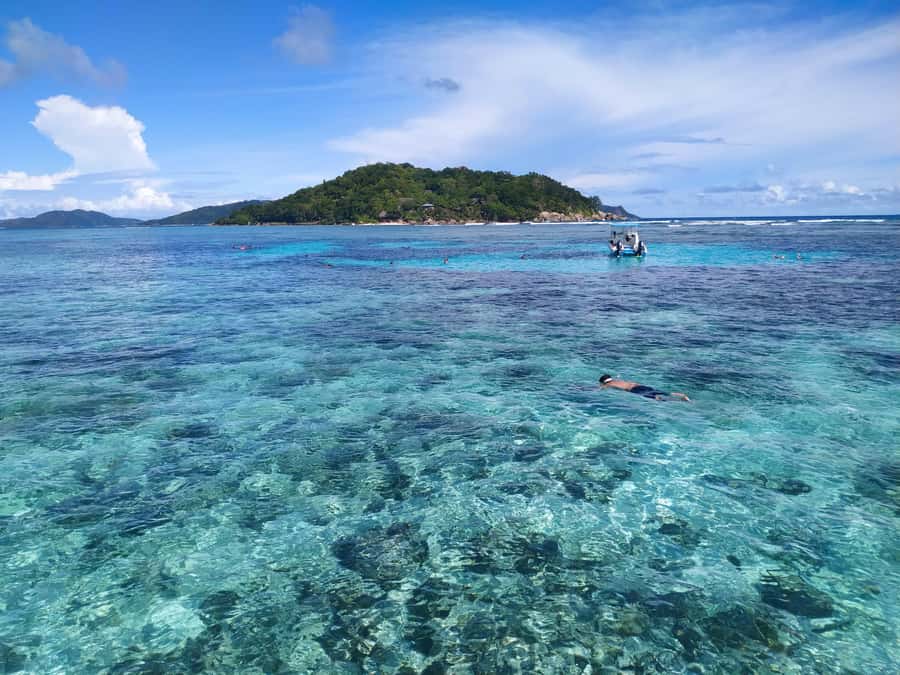 Curieuse Guided Tour, St Pierre, BBQ & 2 Snorkel Stops - The Curieuse nature trail is more than a tortoise photo stop