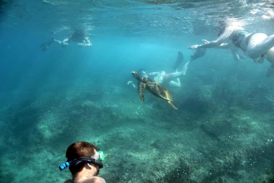 Curieuse Guided Tour, St Pierre, BBQ & 2 Snorkel Stops - Hotel pickup makes the morning easy
