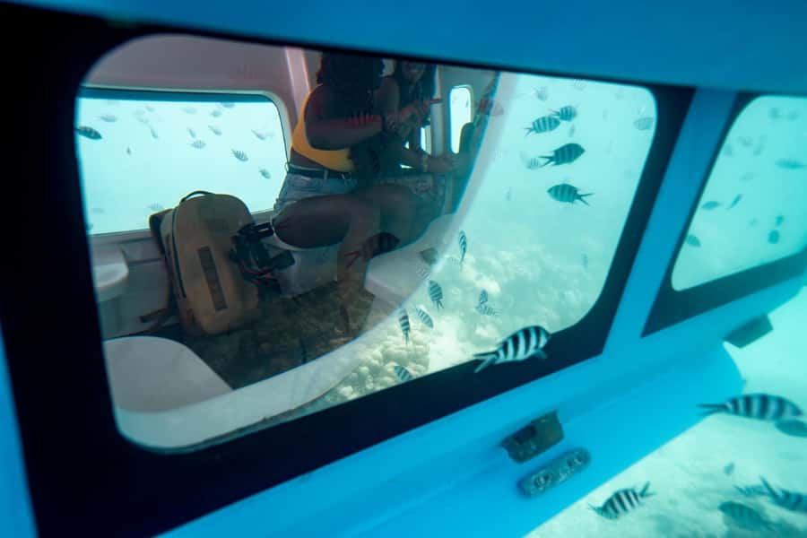 Eden Island: Semi-Submarine Tour in St. Anne Marine Park - Meeting the boat at Eden Island