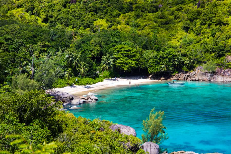 From Mahe: Guided Nature Trail Walk to Anse Major Beach - Birdwatching without turning the walk into a chore