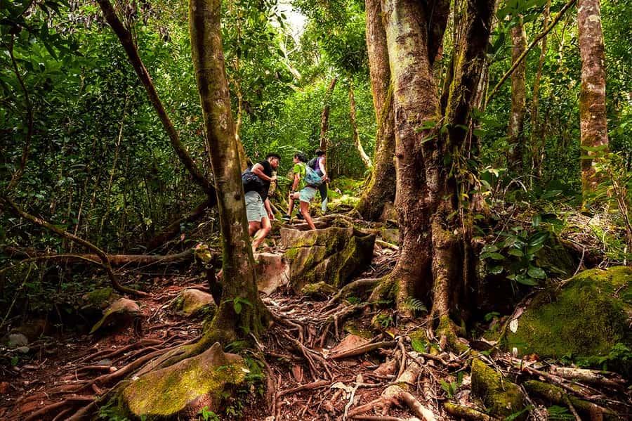 From Mahe: Guided Nature Trail Walk to Morne Blanc - Key points to know before you go