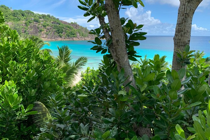 Full day (5-6 hours) island tour on Mahé with pick-up - Le Jardin du Roi turns spices into a walking lesson