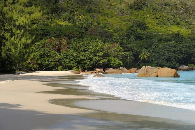 Full Day Discovery Tour of Vallee de Mai and Anse Lazio on Praslin Island - Is $81.33 a Good Value?