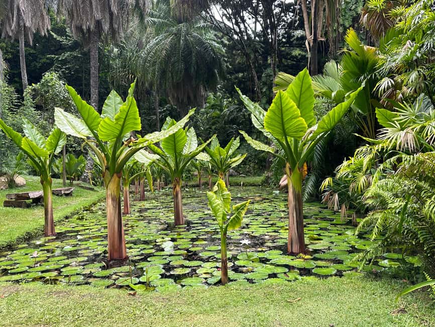 Full day Mahe Tour - Why a full day around Mahé makes sense