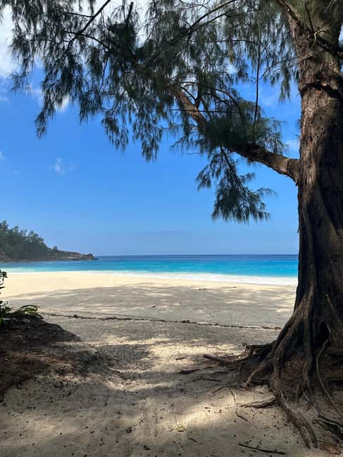 Full day Mahe Tour - Tea, crafts, and island-made products