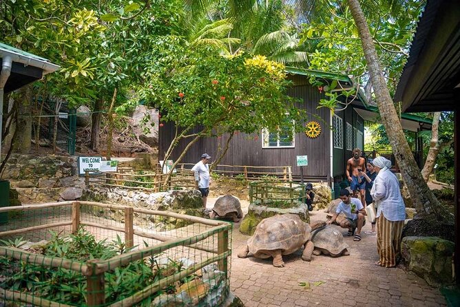 Full Day Reef Safari at St Anne Marine Park Seychelles - Moyenne Island, tortoises, chapel, and forest paths