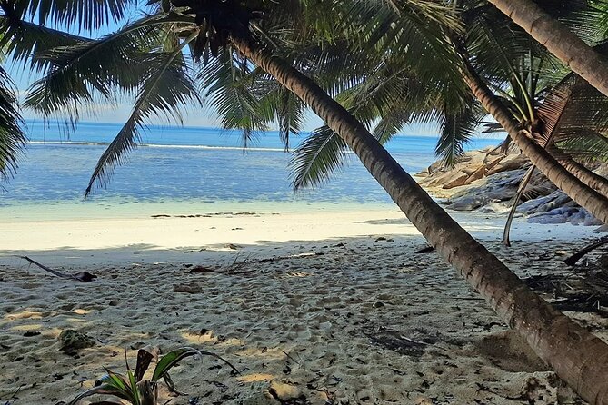 Full Day Reef Safari at St Anne Marine Park Seychelles - Boat size, group comfort, and the seven-hour schedule