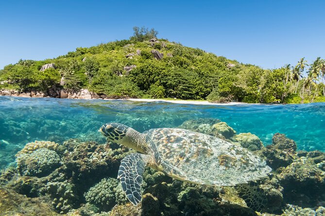 Full Day Reef Safari at St Anne Marine Park Seychelles - Who will get the most from this experience