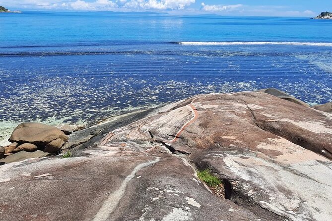 Full Day Reef Safari at St Anne Marine Park Seychelles - St. Anne Marine Park and its underwater habitats