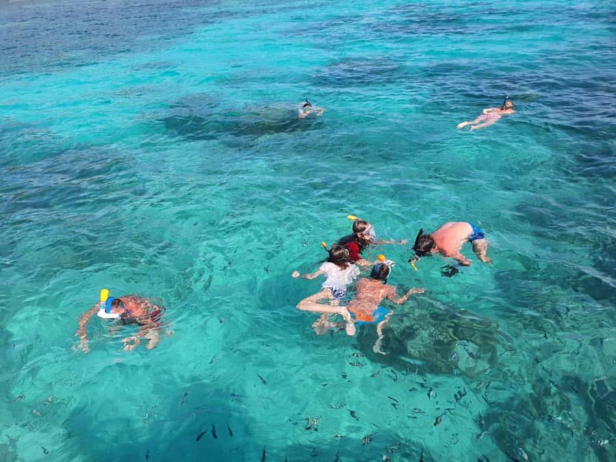 Glassbottom boat & Crystalkayak SteAnneMarinePark Snorkeling - The sandbank between Round and Long islands