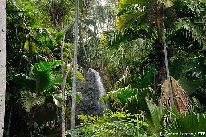Half Day Discovery Tour of Vallee de Mai on Praslin Island - Key points to know before booking