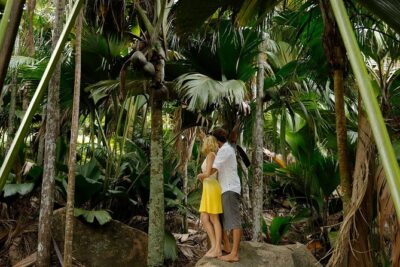 Half Day Discovery Tour of Vallee de Mai on Praslin Island
