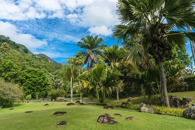 Half Day Discovery Tour of Victoria - Seychelles Capital on Mahe Island - La Misere Viewpoint: Victoria from Above