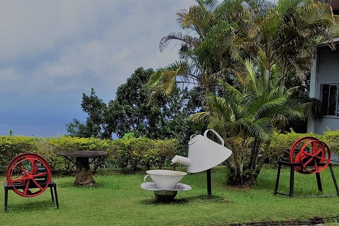 Half-Day Mahe private Tour - Victoria Market and the colorful center of Victoria