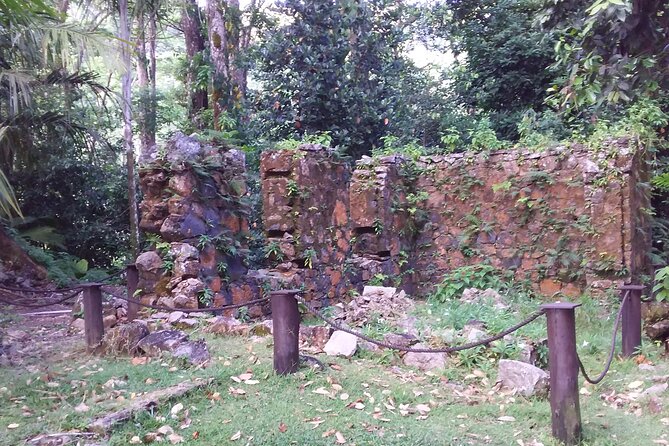 Half-Day Mahe private Tour - Sauzier Waterfall is short, pretty, and weather-dependent