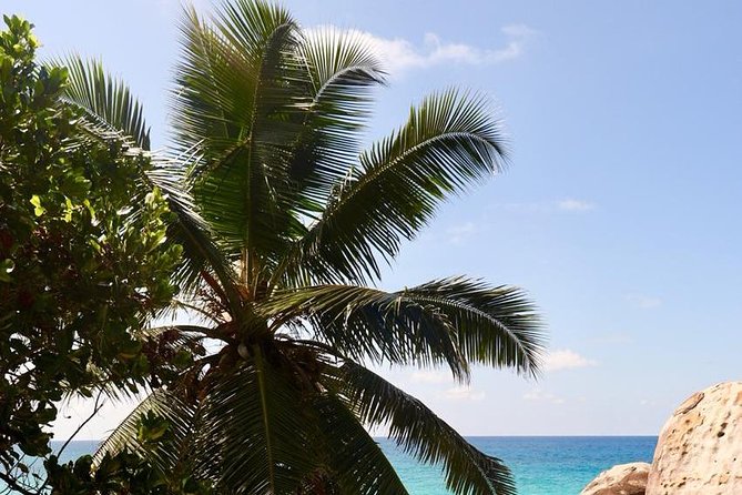 Half-Day Mahe private Tour - The guide determines how much you learn