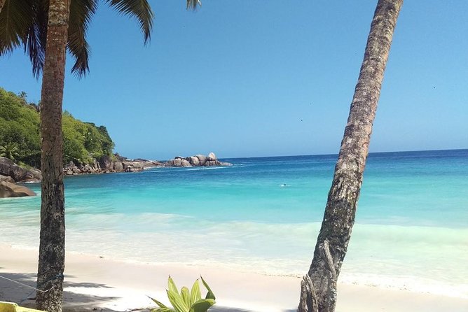 Half-Day Mahe private Tour - Five hours is useful, but the schedule is tight