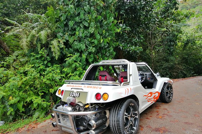 Island tour with the beach buggy - The five things to know before booking
