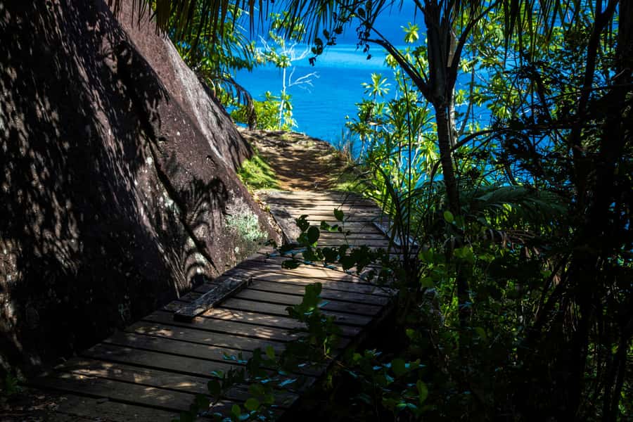 Mahé: Baie Ternay Park Catamaran Cruise with BBQ Lunch - Swimming and snorkeling in Baie Ternay Marine National Park
