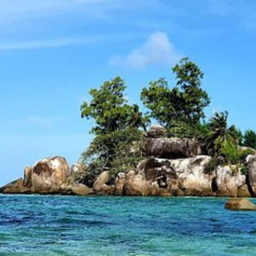 Mahe Discovery Bus Tour - A four-hour sampler of Mahe’s beaches