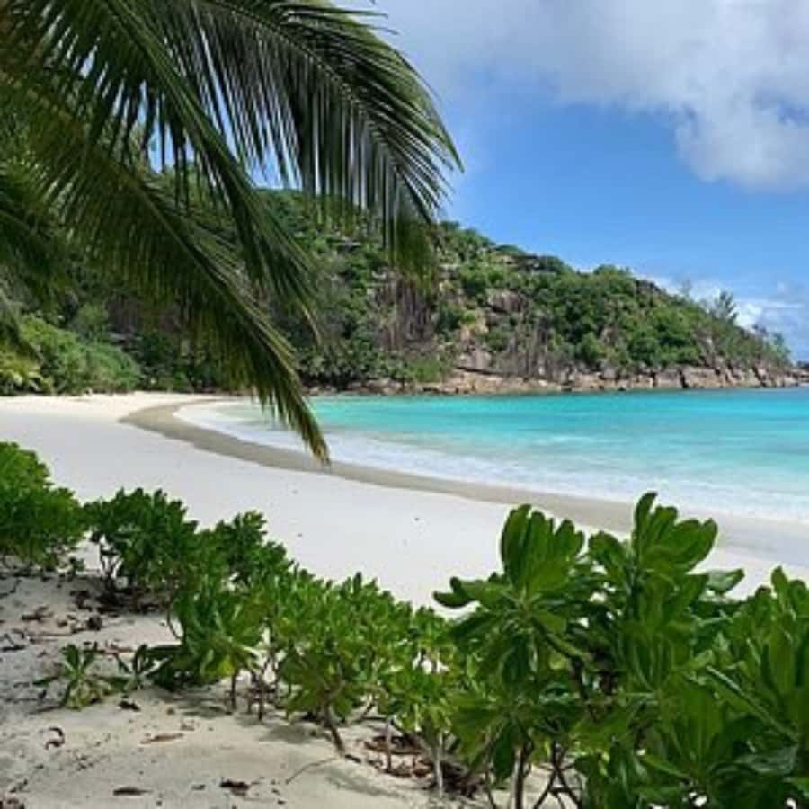 Mahe Discovery Bus Tour - What to bring for a real beach day