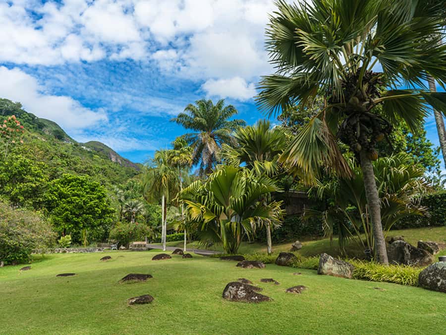 Mahé Island: Island Highlights Guided Day Trip with Lunch - Key points at a glance