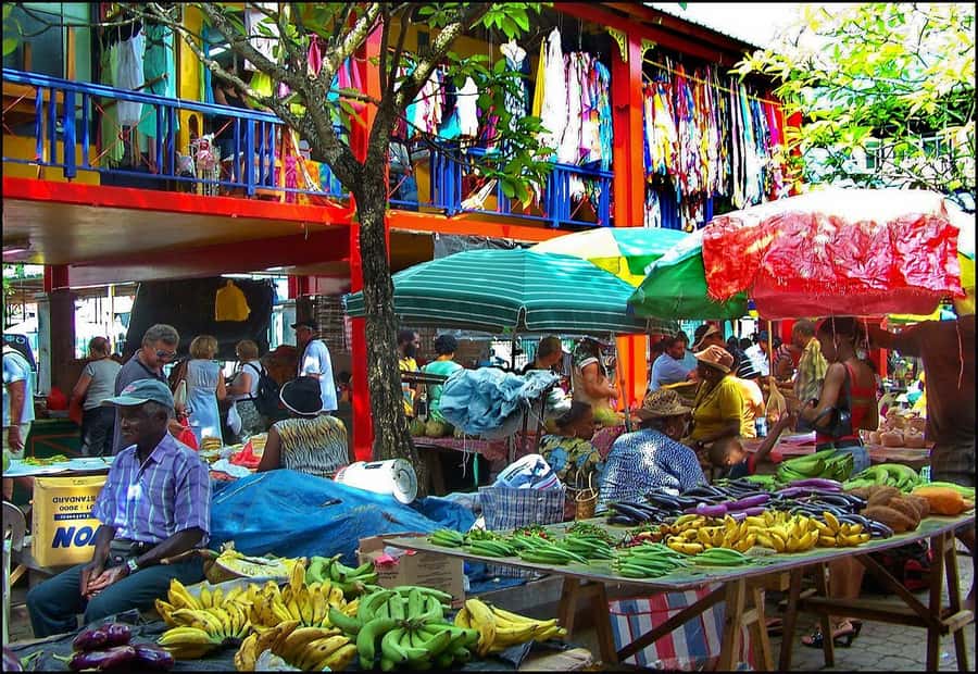 Mahé Island: Island Highlights Guided Day Trip with Lunch - Why this full-day Mahé tour works well