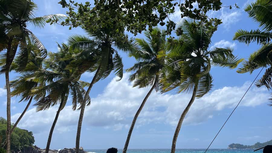 Mahe Island: Private Mahe Island Tour - Starting in Victoria, the Seychelles Capital