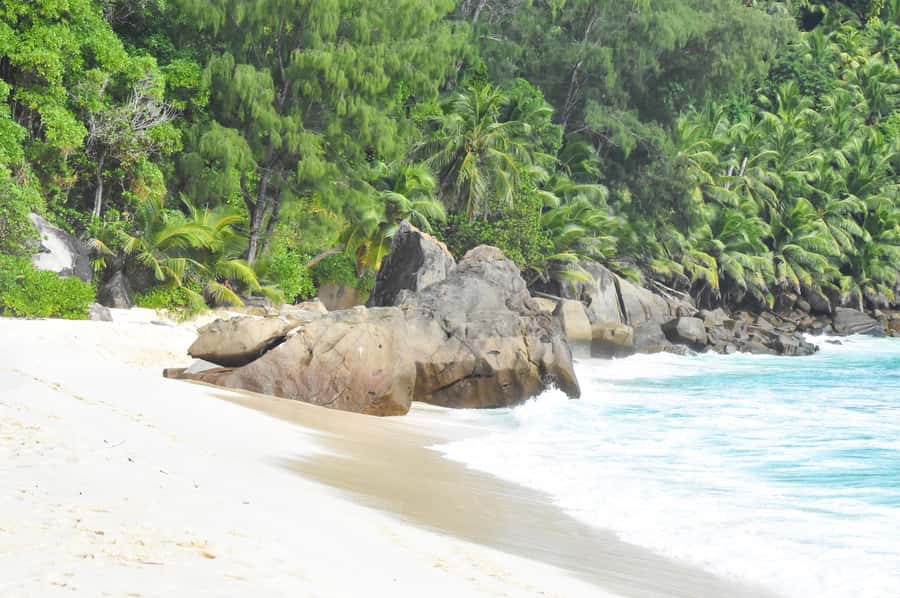Mahe Island: Private Mahe Island Tour - Beaches, Swimming, and Snorkeling