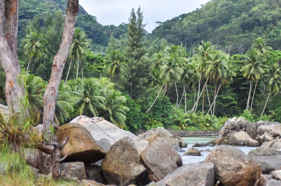 Mahe Island: Private Mahe Island Tour - What the Private Format Is Worth