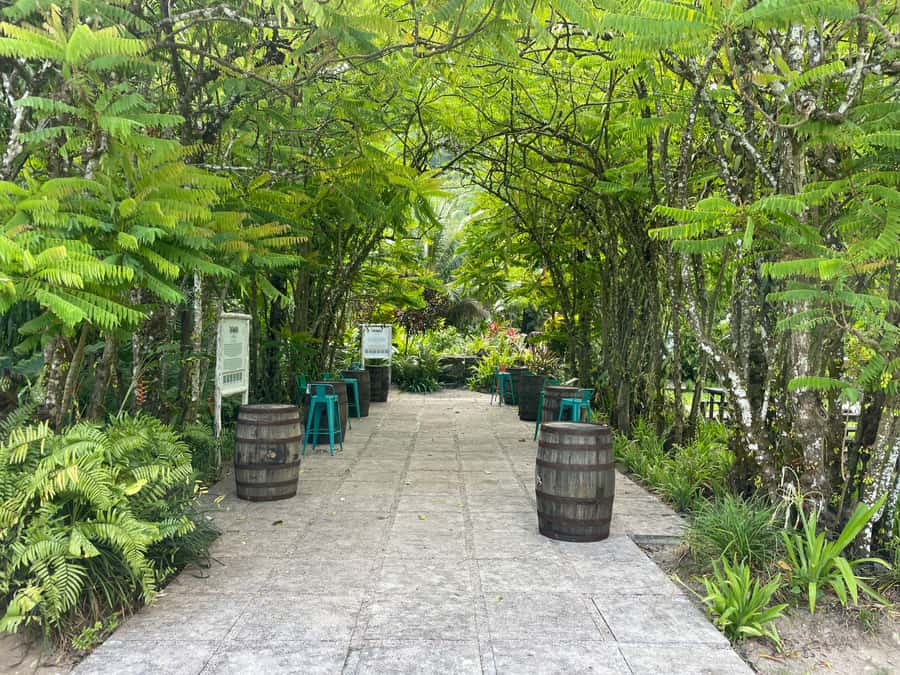 Mahe Island: Private Mahe Island Tour - Who Will Enjoy This Mahé Tour Most