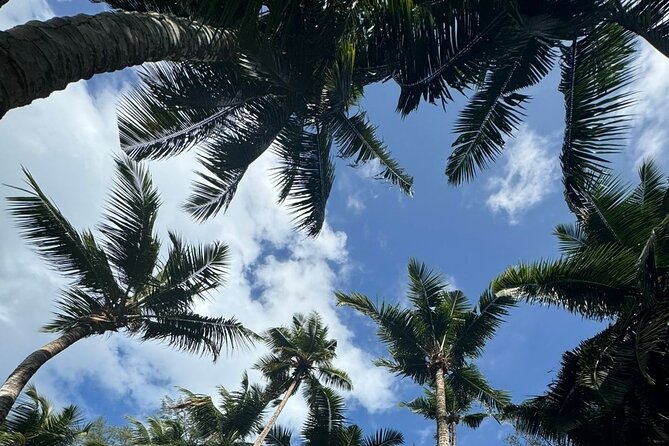 Mahe island Seychelles , unforgettable & adventurous tour - What the guides add to the day