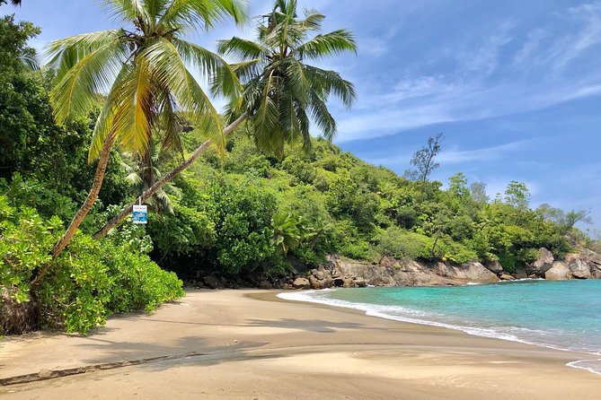 Mahe Island tour - Price, timing, and what you actually receive