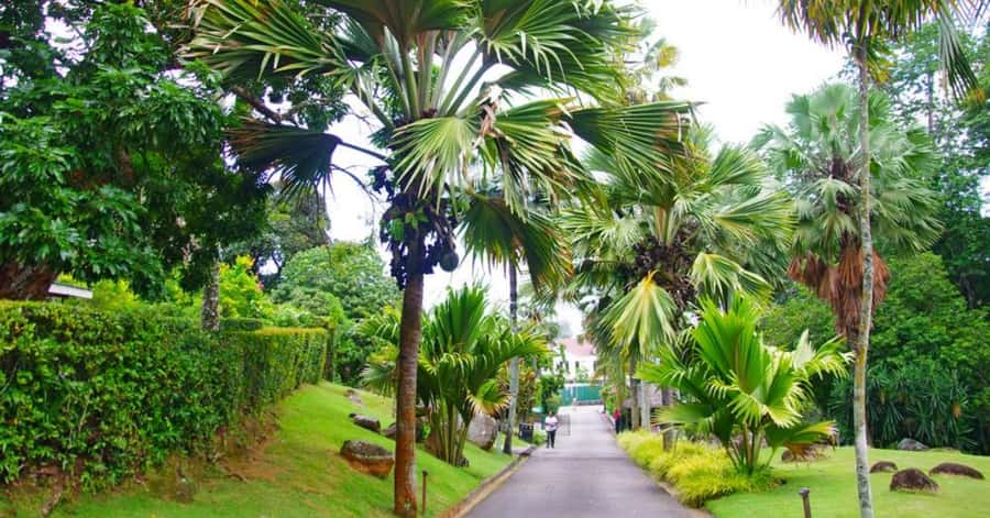 Mahé: Private Customizable Full-Day Tour with Hotel Pickup - Creole traditions at Domaine de Val des Pres