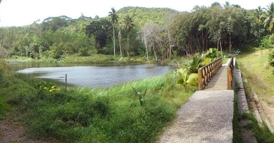 Mahé: Private Customizable Island Tour with Hotel Transfer - What the driver adds to the day