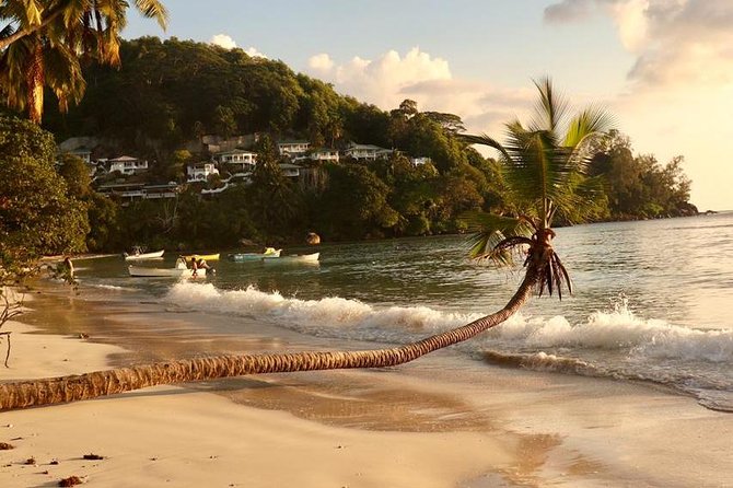 Mahe Private full day tour - Beaches, gardens, rum, and the southern island