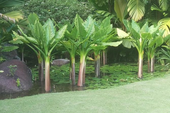 Mahe Private full day tour - Starting at 9:30 am with your own driver