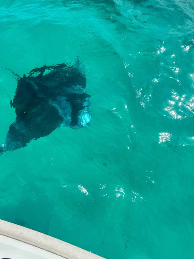 Mahe: Private half-day boat trip at the St.Anne Marine Park - Three snorkeling sites in one four-hour outing