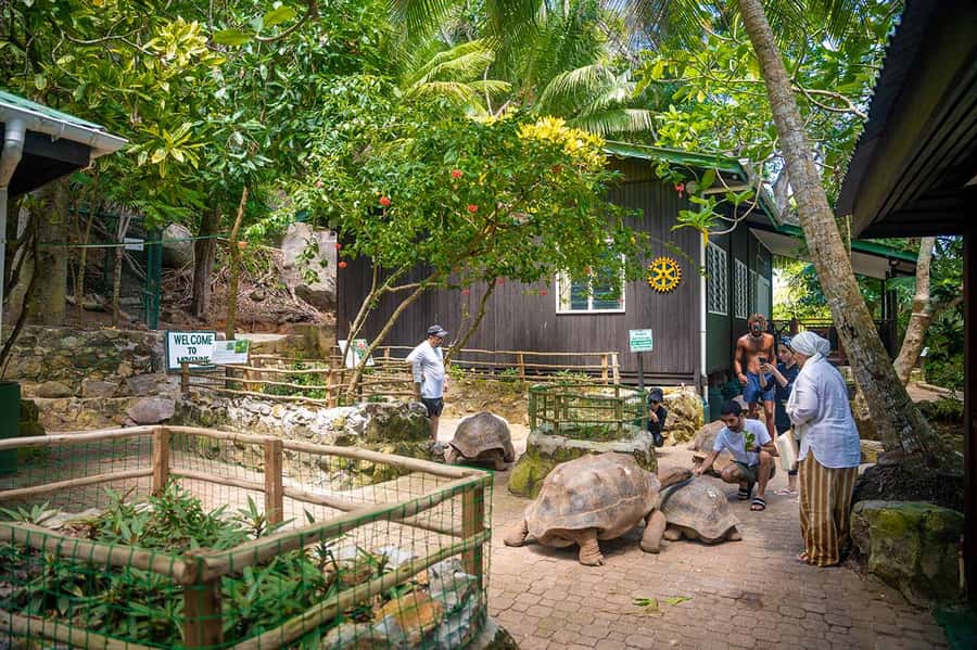 Mahé: Saint-Anne Marine Park and Moyenne Island Cruise - What this Mahé day trip really offers