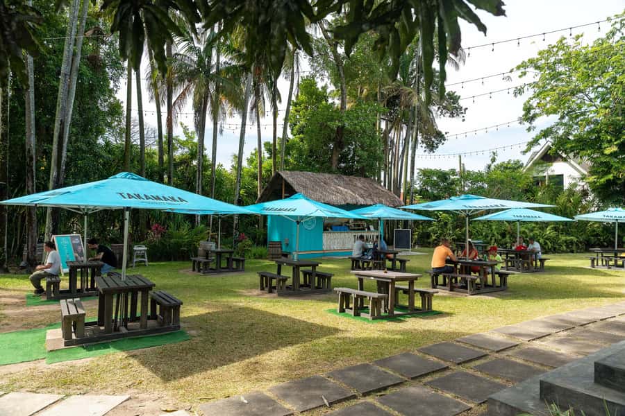 Mahé: Wild South Discovery Trip with Local Lunch - How the transportation works